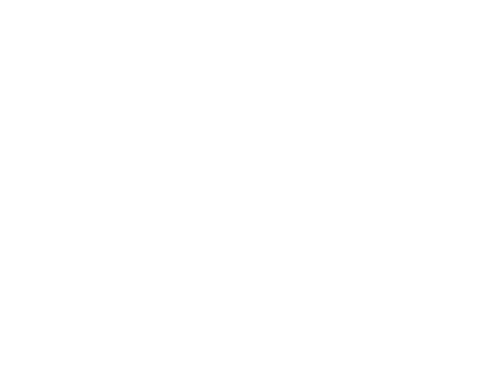 Zuyderleven-wit-logo